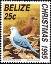 Blue Ground Dove (Claravis pretiosa)